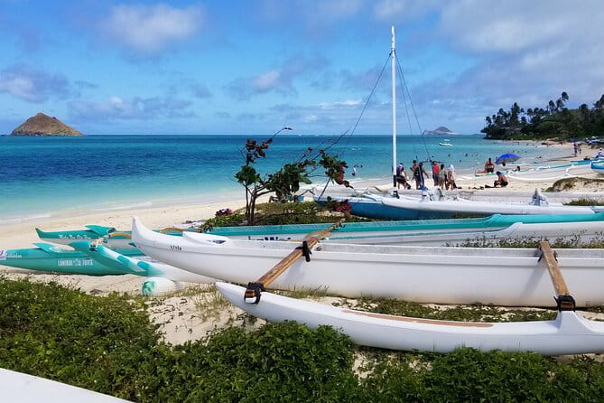 Private Dole,Garlic Shrimp,Haleiwa,North Shore Customizable tour - Authentic Feedback from Travelers