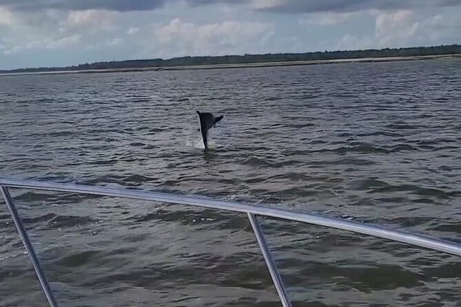 Private Dolphin Boat Tour in Hilton Head Island - FAQs about the Hilton Head Dolphin Boat Tour