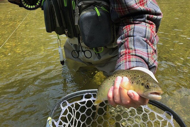 Private Full Day Fly Fishing For Beginners and Experienced Anglers - Considerations and What You Should Know