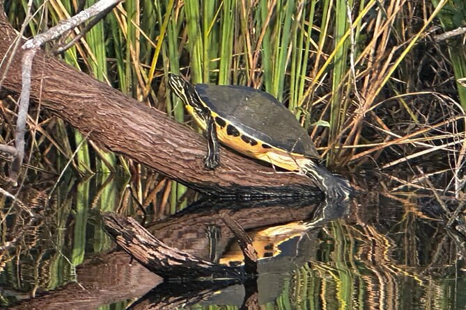 Private Guided Everglades Kayak Tour - FAQs
