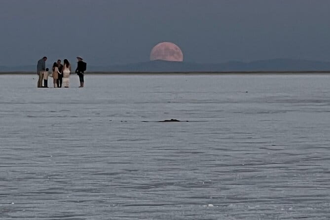 Private Half-Day tour to Bonneville Salt Flats - The Travel Time and Its Importance