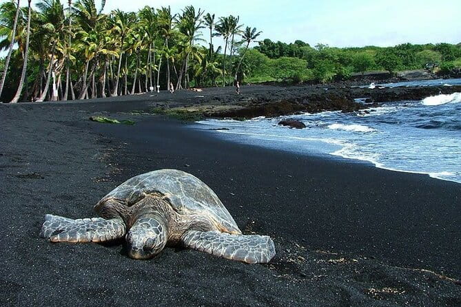 Private Island Tour in Hawaii with Pickup Included - What Does the Tour Mean for You?