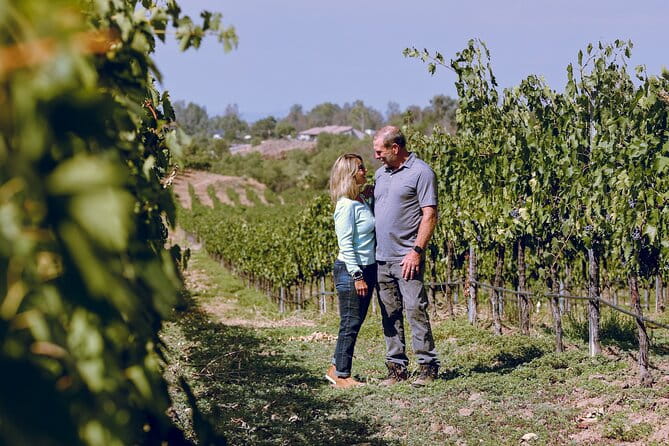 Private Luxury Transportation Experience - Sonoma - FAQs About the Private Sonoma Luxury Tour