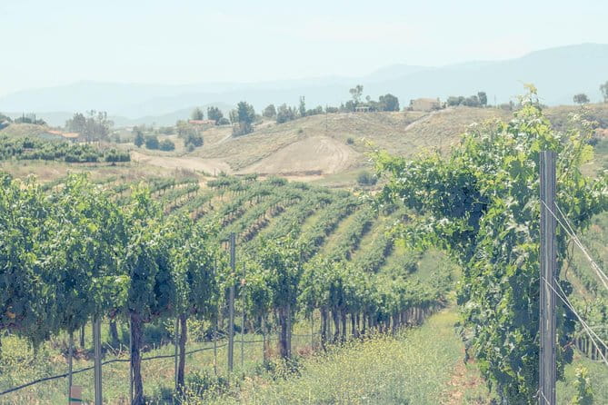 Private Luxury Transportation Experience - Temecula Valley - In The Sum Up