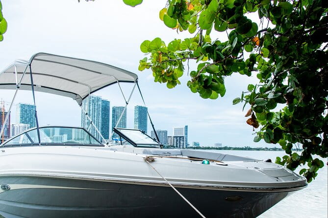 Private Moon-Watch Boat Cruise in Fort Lauderdale - Potential Drawbacks and Considerations