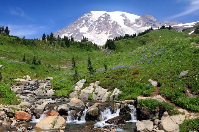 Private Mt Rainier National Park Day Trip from Seattle - Final Thoughts: Who Is This Tour Best For?