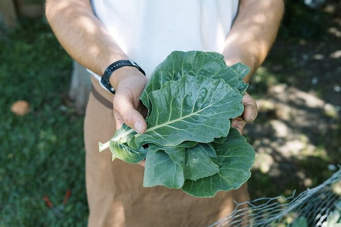 Private New Orleans Cajun Cooking Class with a Local Courtland - The Sum Up