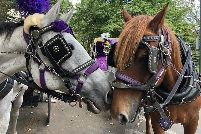 Private NYC Central Park Horse Carriage Ride (Guided) Since 1965™ - Frequently Asked Questions