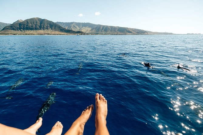 Private Oahu Sunset Charter with Tasting and Drinks - Who Will Love This Tour?