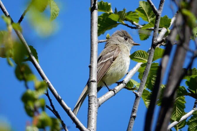 Private Rocky Mountain National Park 4 Hour Tour - What Makes This Tour Stand Out