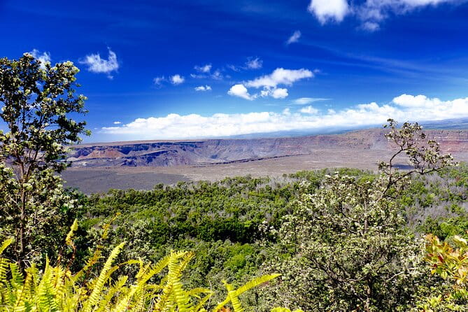 Private Tour: Experience Active Kilauea Volcano & Hilo Rainbow Falls - Who is This Tour Best For?