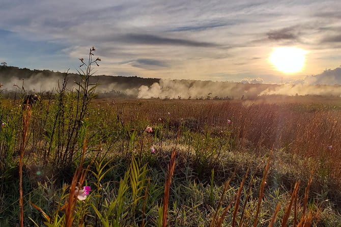 Private Tour of Hawaii Volcanoes National Park - Who Should Book This Tour?