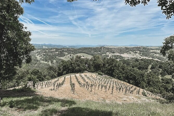 Private Wine Tour in Paso Robles - Frequently Asked Questions