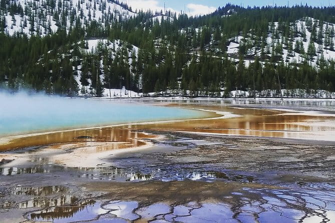 Private Yellowstone Lower Loop Tour - Authentic Feedback from Travelers