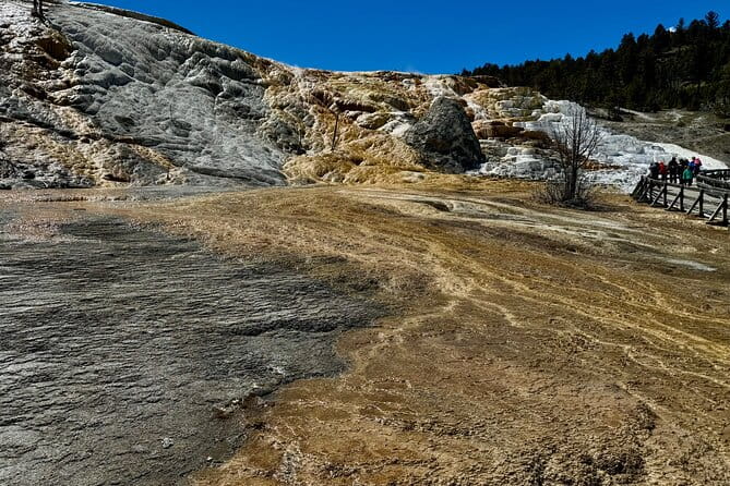 Private Yellowstone Wildlife and Photo Tour’s Upper Loop Cody Wy - Who Should Consider This Tour?