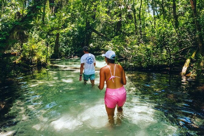 Rainbow Springs: Clear Kayak & Snorkel Eco Tour - The Snorkeling Experience: Getting Closer to Nature