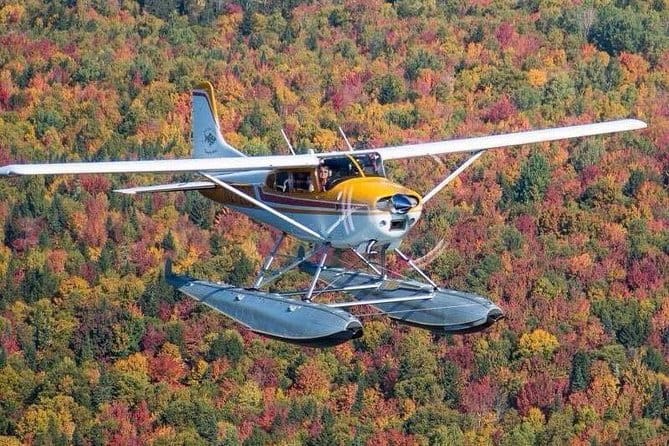 Rangeley Lakes Region Seaplane Tour - What the Reviews Say