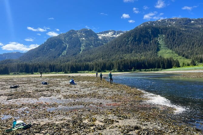 River Fishing and Bear Watching - The Sum Up