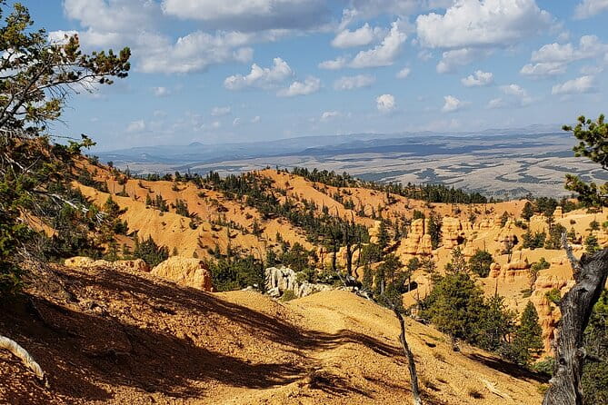Ruby's Horseback Adventures Utah Thunder Mt. 4 Hour Ride - Weather and Safety Considerations