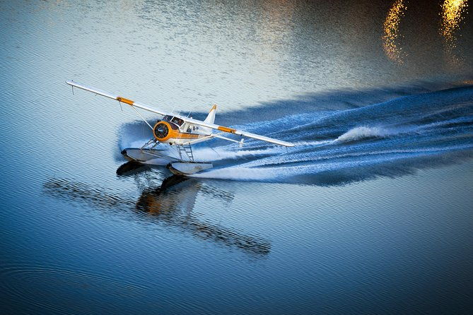 San Francisco 1-Hour Seaplane Tour with Shuttle Transport - Who Will Love This Tour?
