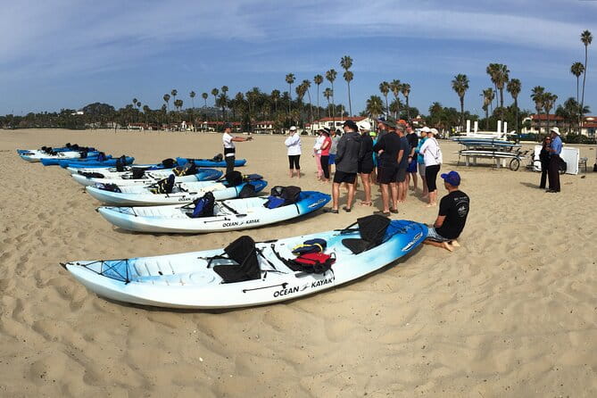 Santa Barbara Kayak or Stand Up Paddle Rental - Practical Tips for Participants