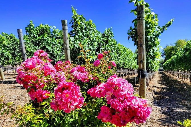 Santa Barbara Wine Tasting Day Tour from Los Angeles - Is This Tour Worth the Cost?