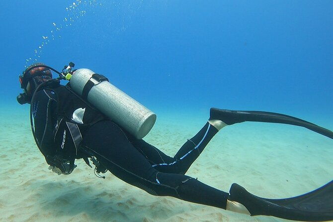 SCUBA Dive at Electric Beach with Photos -No Certification Needed - Who Is This Tour Best For?