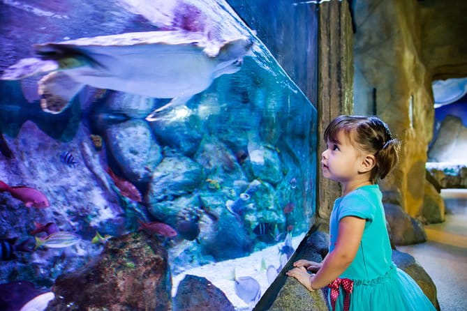SEA LIFE Aquarium Arizona Admission Ticket - Who Will Love SEA LIFE Arizona?