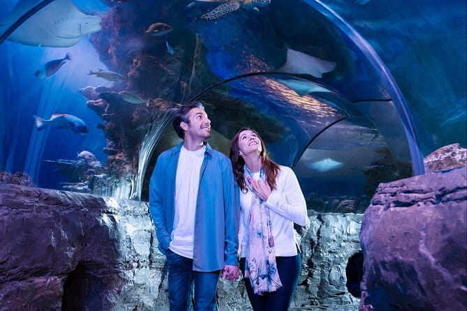 SEA LIFE Aquarium Grapevine Admission Ticket - What Travelers Say