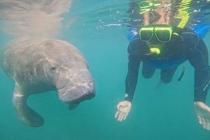 Semi-Private Manatee Swim Tour With Guide (Photos Included) - Final Thoughts