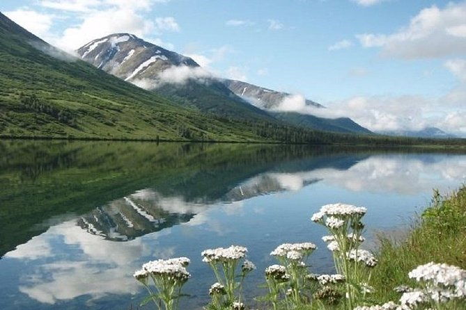 Seward to Anchorage Cruise Transfer and Private Tour - FAQ