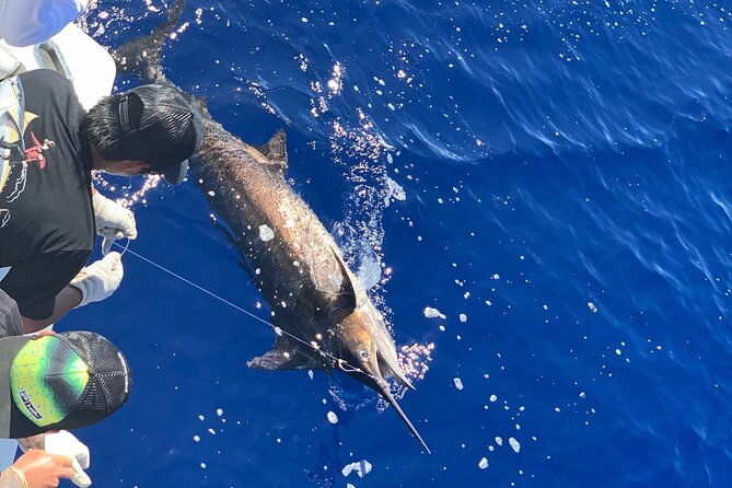 Shared Deep Sea Full-Day Fishing Charter in Hawaiian Waters - Who Will Love This Trip?