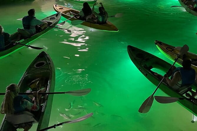 Sharkey's Glass Bottom Fish Feeding LED Night Tour in Clearwater - Who Should Consider This Tour?