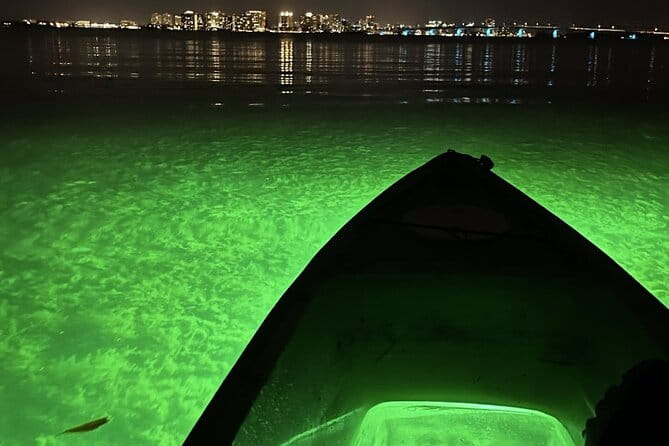 Sharkey's Glass Bottom Fish Feeding LED Night Tour in Sarasota - Group Size, Duration, and Accessibility