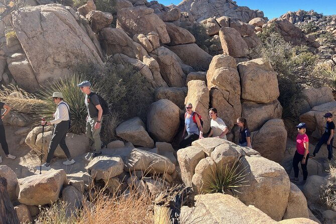 Sightseeing Adventure Tour of Joshua Tree National Park - Hidden Valley: The Heart of Joshua Tree