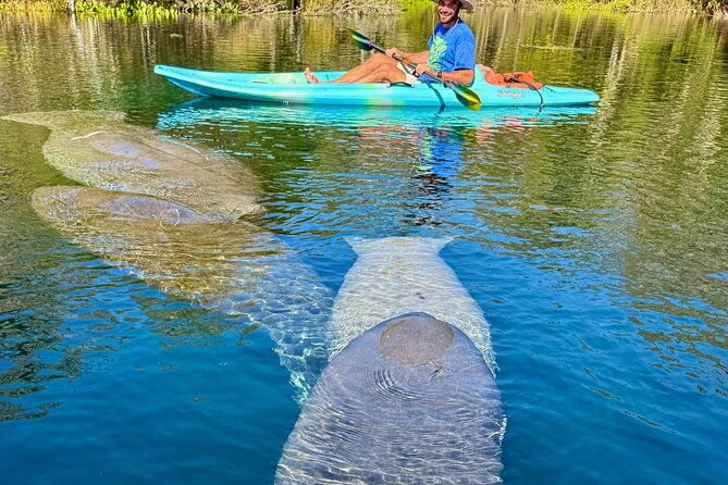 Silver Springs Premium Florida Wildlife Experience! - FAQ