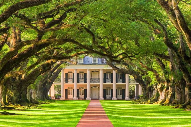 Small Airboat and Oak Alley Plantation Tour from New Orleans - Final Thoughts
