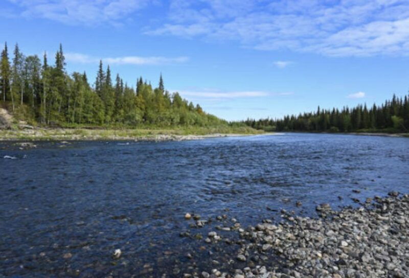 Snake River Full-Day Group Fishing Trip - How the Experience Adds Value