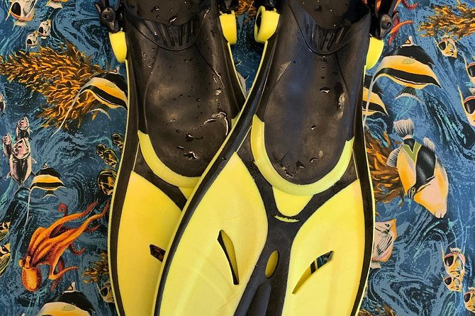 Snorkel Gears near Hanauma Bay - How About the Pricing and Value?