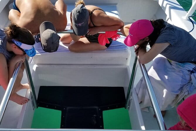 Snorkel, Sandbar & Dolphin Excursion - Practical Details