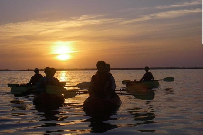 Sunset Kayaking w/ Florida Bioluminescence Combo Tour | Haulover canal - What do travelers say?