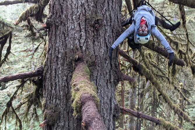 Sunset Tree Climb at Silver Falls State Park - FAQs
