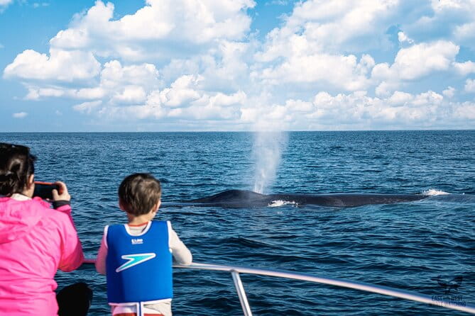 Supreme 2hr Whale/Dolphin Watching Newport Beach, 6 person max - Frequently Asked Questions