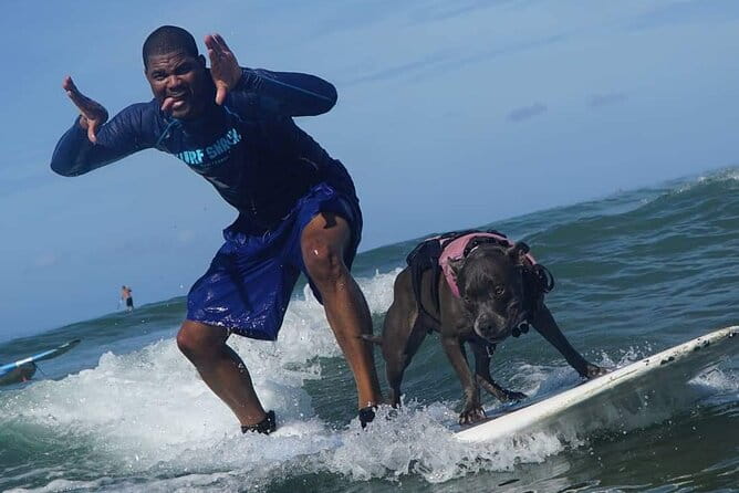 Surf with a Service Animal - The Value of This Experience
