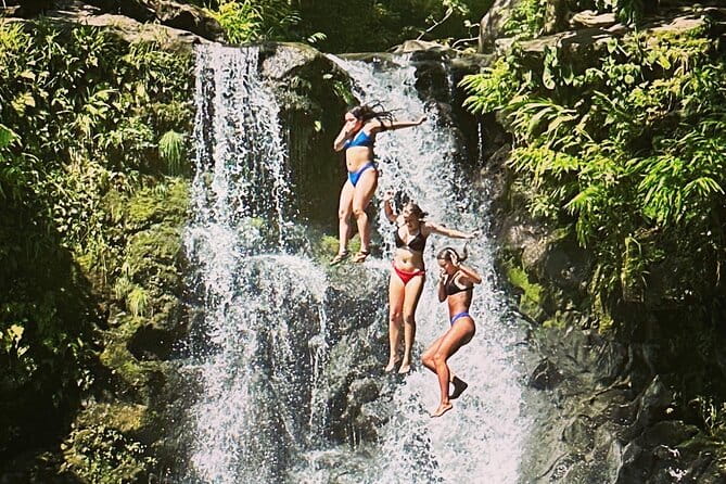 The best half day of your life! Luxury Road to Hana private tour - What travelers say