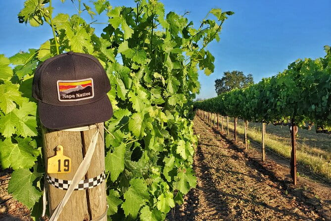 The Napa Native Experience - Transportation and Logistics