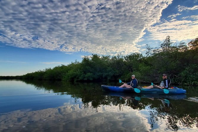 Thousand Islands Mangrove Tunnel Kayak Tour with Cocoa Kayaking! - Final Thoughts: Is This the Right Tour for You?