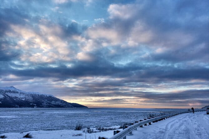 Ultimate Anchorage Winter Wildlife & Sunset Tour - The Overall Experience