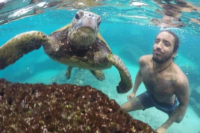 Ultimate Ocean Encounters Midday Snorkel - Who This Tour Is Best For