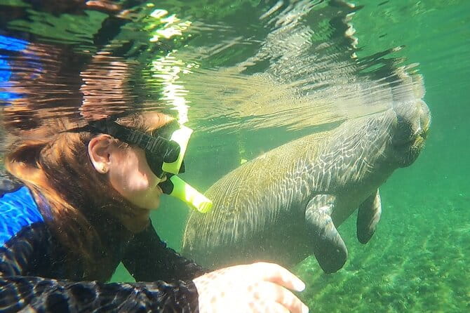 VIP Private Boat Manatee Snorkel Tour with In-Water Guide and Photograper - FAQ